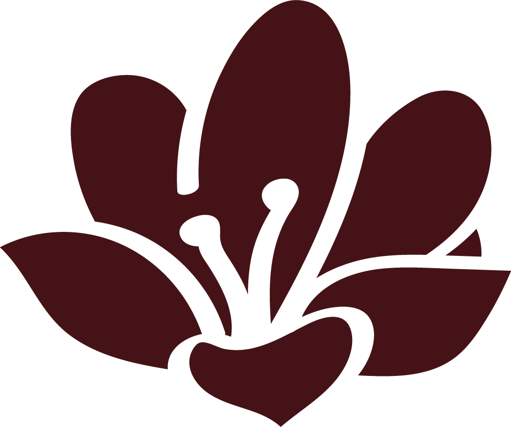 Tratamentos de periodontia